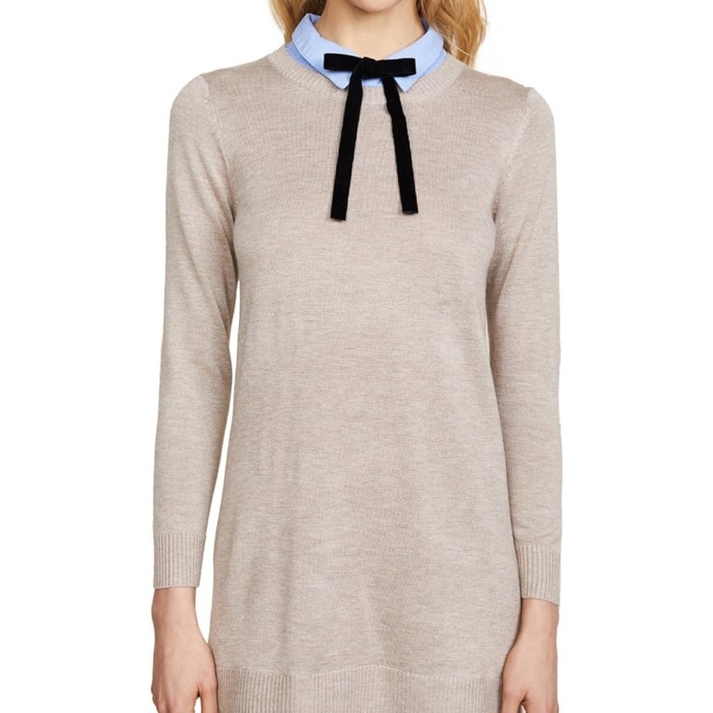 NWT English factory // Oxford shirt dress